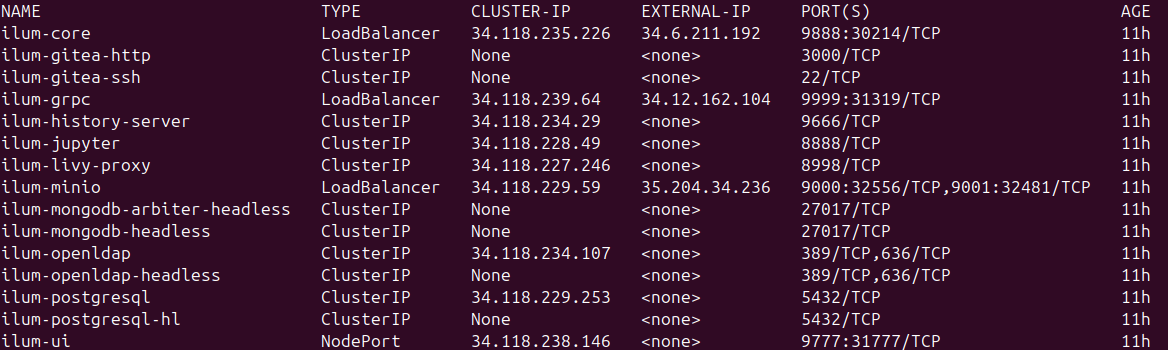 GKE LoadBalancer Service Configuration showing External IPs