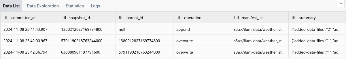 Apache Iceberg's snapshot query results