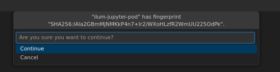 Confirm SSH fingerprint in VS Code