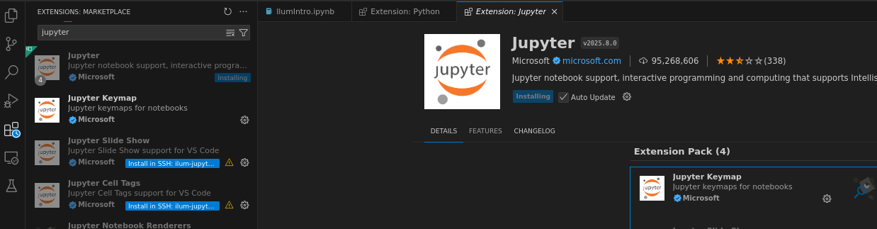 Install Jupyter extension on remote host
